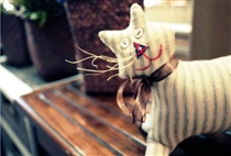 【趣玩踏浪】鼓浪嶼灘涂趕海小火車3日游