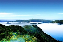 【全景江西】廬山鄱陽湖景德鎮婺源篁嶺三清山龍虎山井岡山7日游