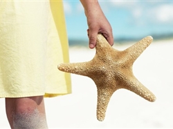 【0購分界洲】海南雙飛5日游