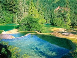 【首席重慶】重慶深度雙動(dòng)5日游