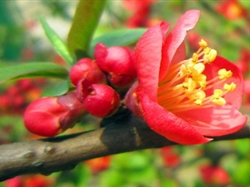 南昌到鳳凰溝1日游